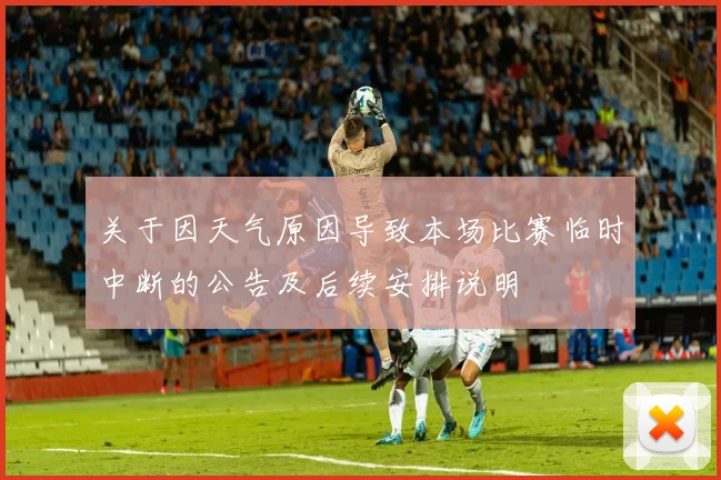 关于因天气原因导致本场比赛临时中断的公告及后续安排说明