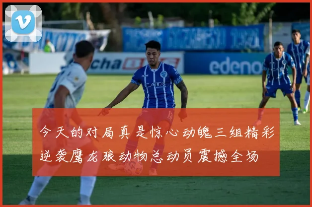 今天的对局真是惊心动魄三组精彩逆袭鹰龙狼动物总动员震撼全场