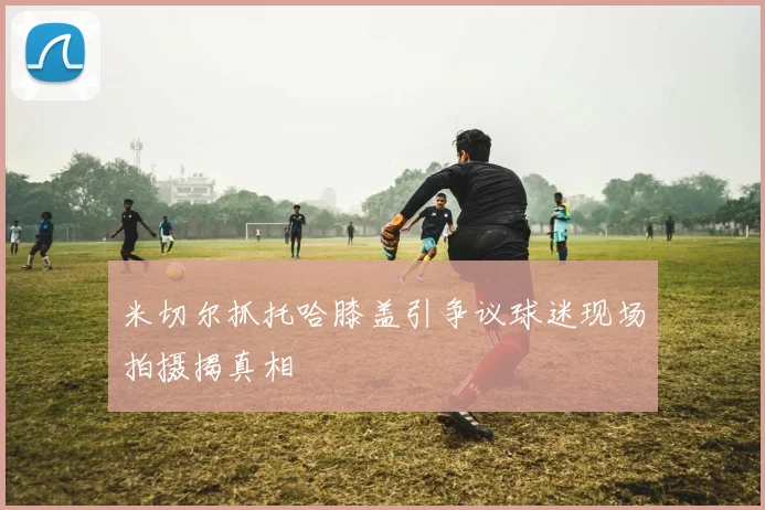 米切尔抓托哈膝盖引争议球迷现场拍摄揭真相